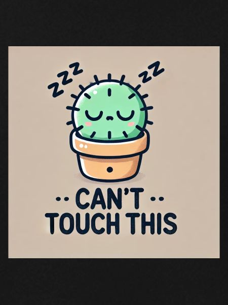 Can't Touch This