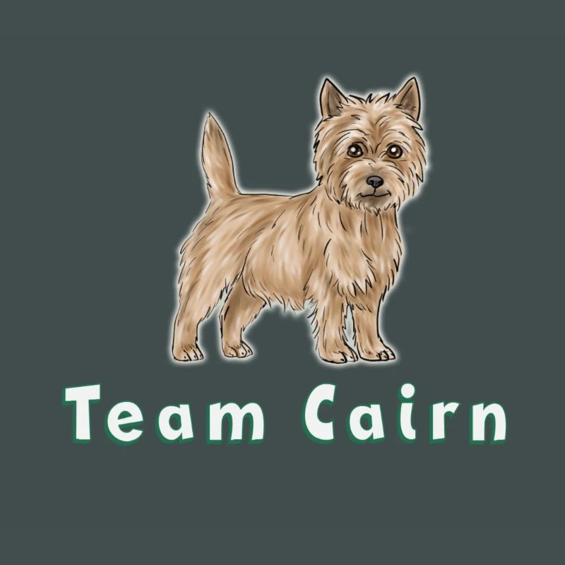 Team Cairn