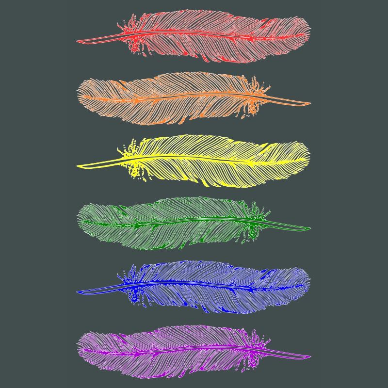 Feathers Rainbow