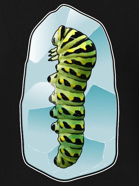 Caterpillar