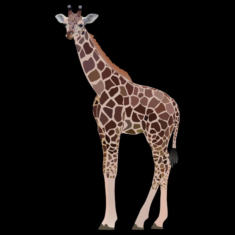 Gina, girafe