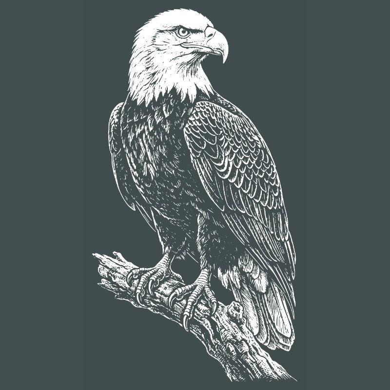 Perched Eagle Silhouette