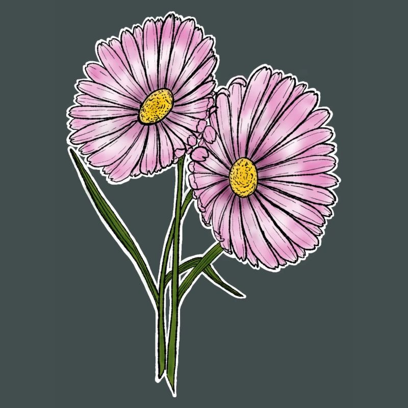 Gänseblümchen
