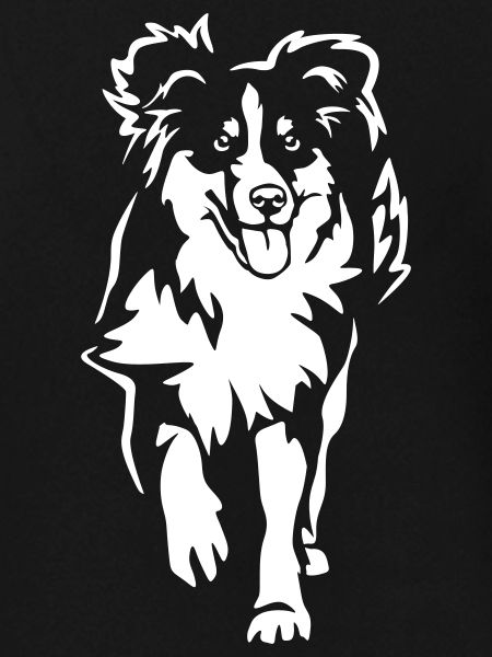 Australian Shepherd "Black Edition"