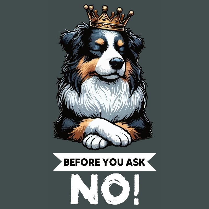 Before You Ask Australian Shepherd Aussie Aussies