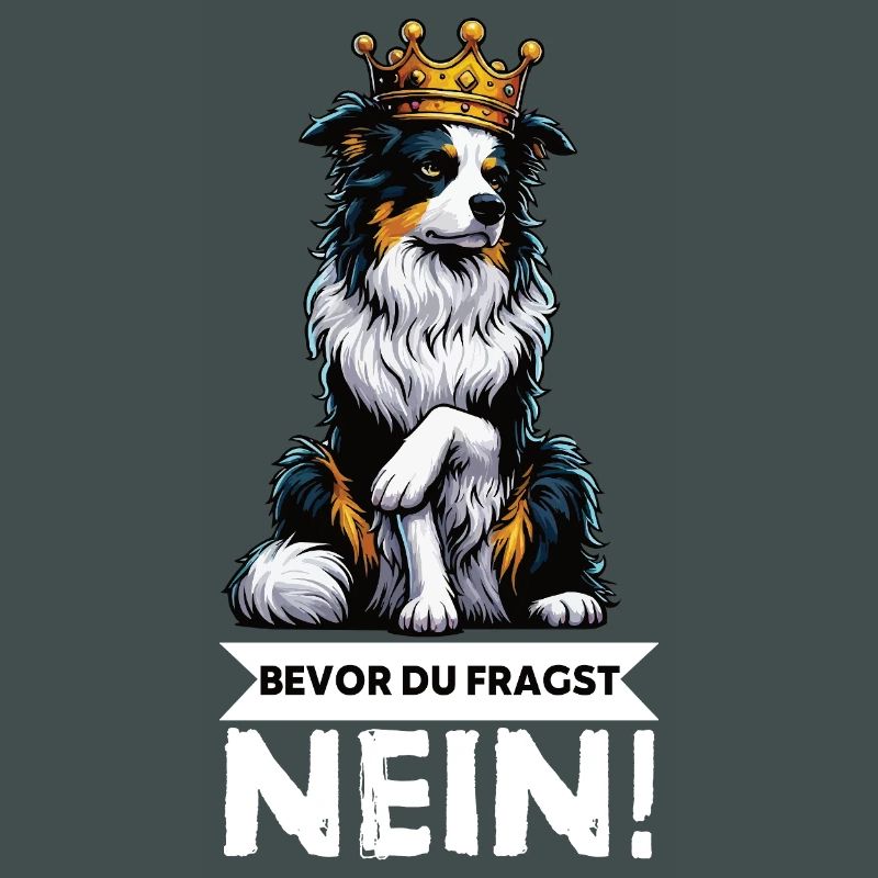 Bevor Du Fragst Australian Shepherd Aussie Aussie