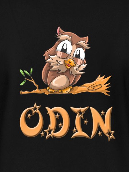 Eule Odin