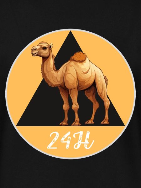 Kamel 24h