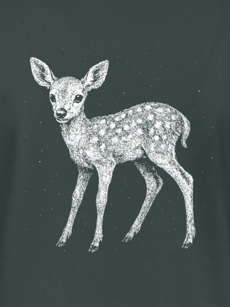 Fawn
