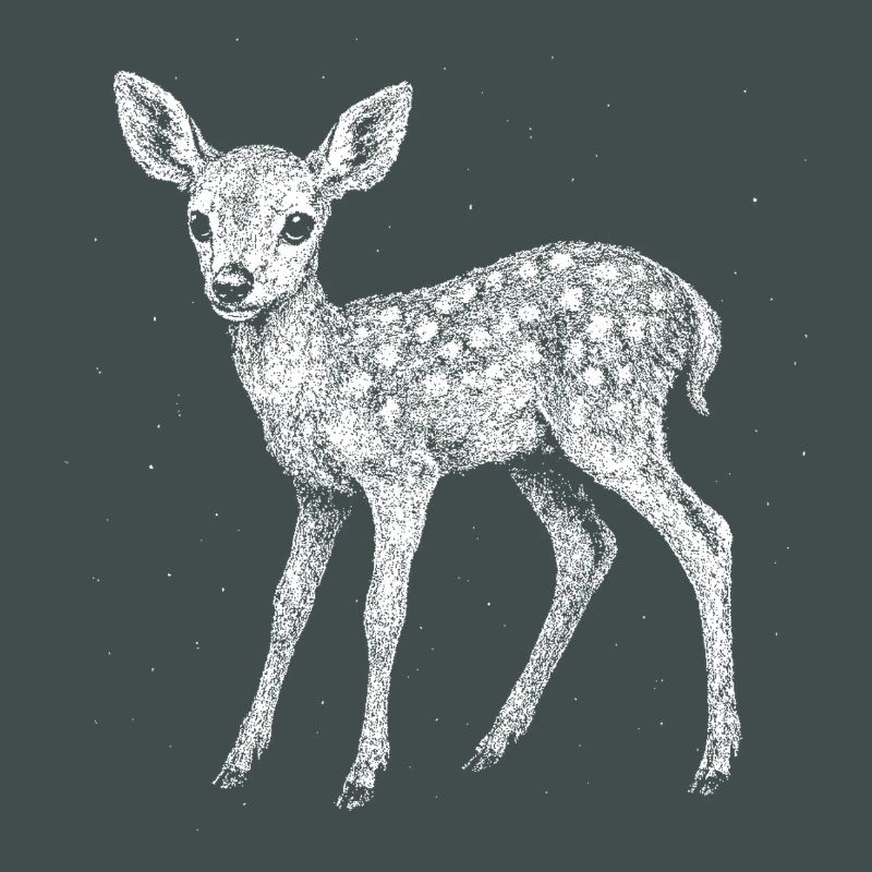 Fawn