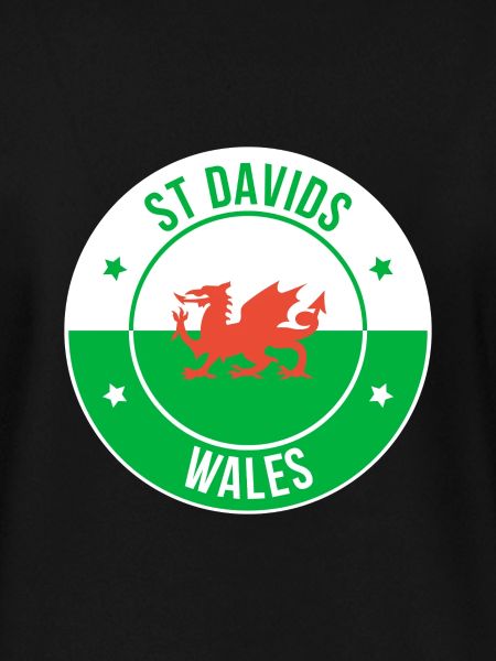 St Davids walisisches Drachenemblem