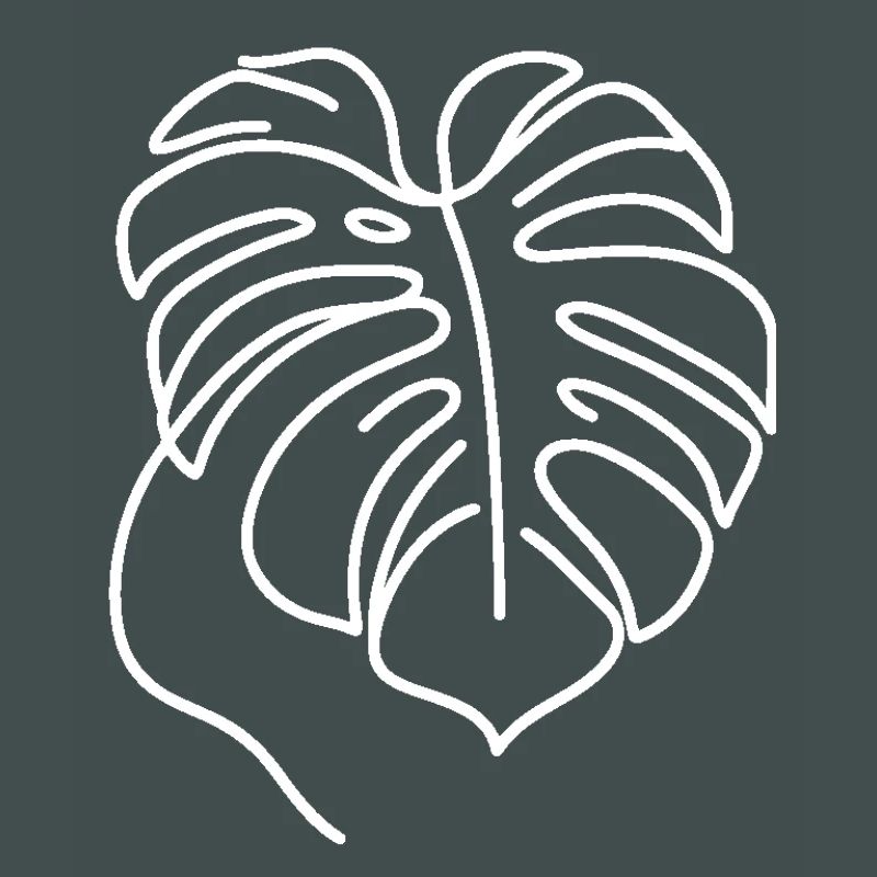 Monstera