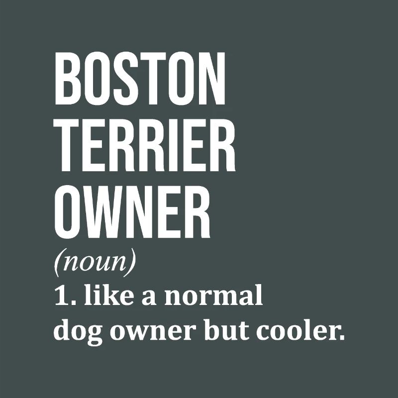 Boston Terrier