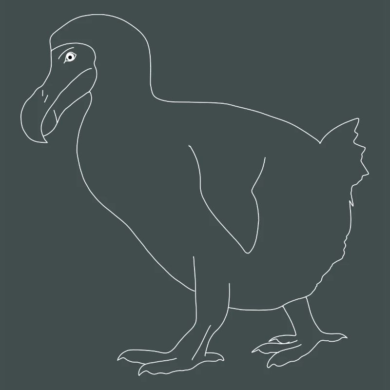 Dodo