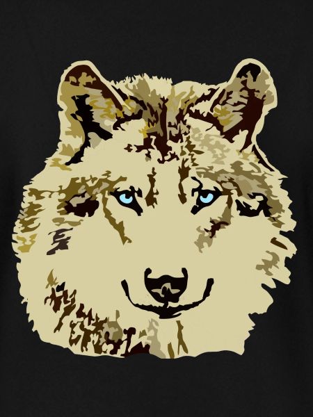 Wolf braun blaue Augen