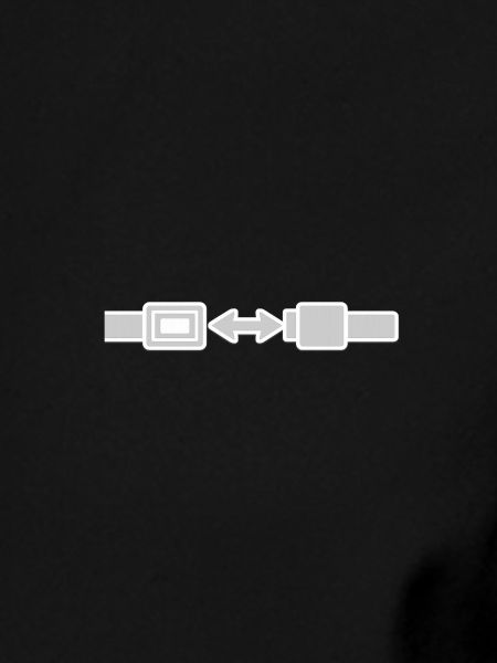 Seatbelt Sign.