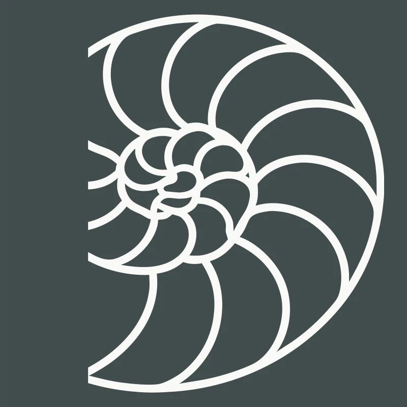 White Nautilus Spiral
