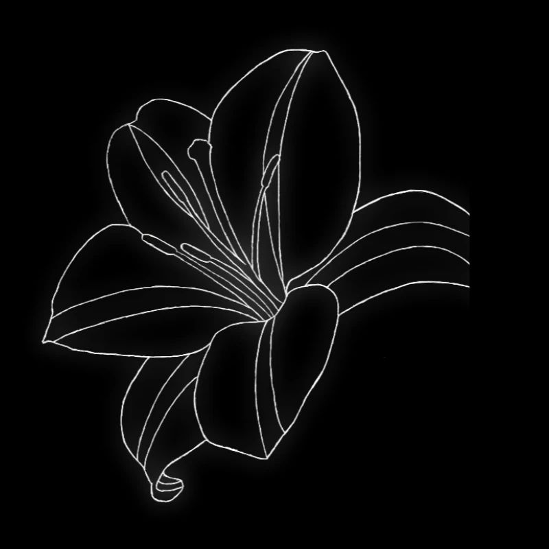 Lily