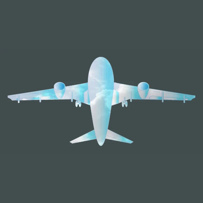 Passenger plane with cloud pattern