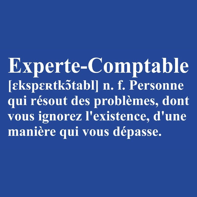 Experte-Comptable Définition