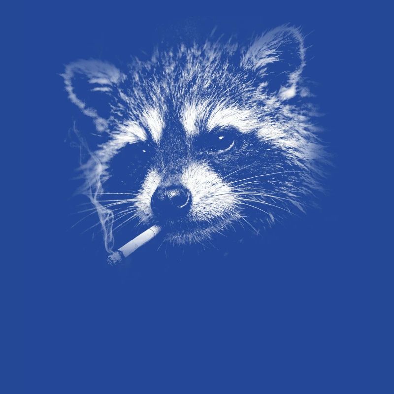 Rauchen, Zigarette, Waschbär raucht eine Zigarette