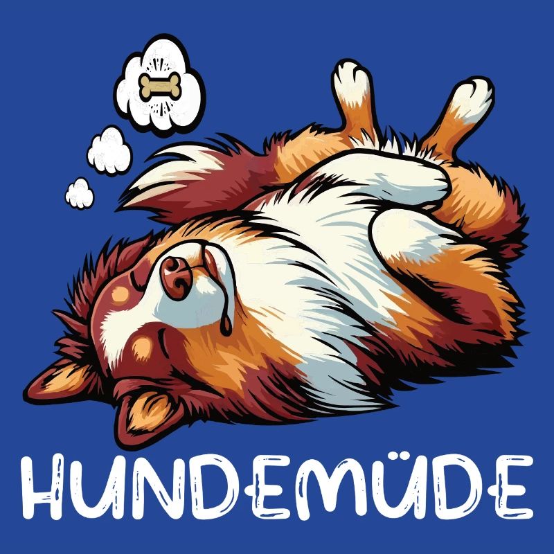 Hundemüde Australian Shepherd Aussie Aussiehalter