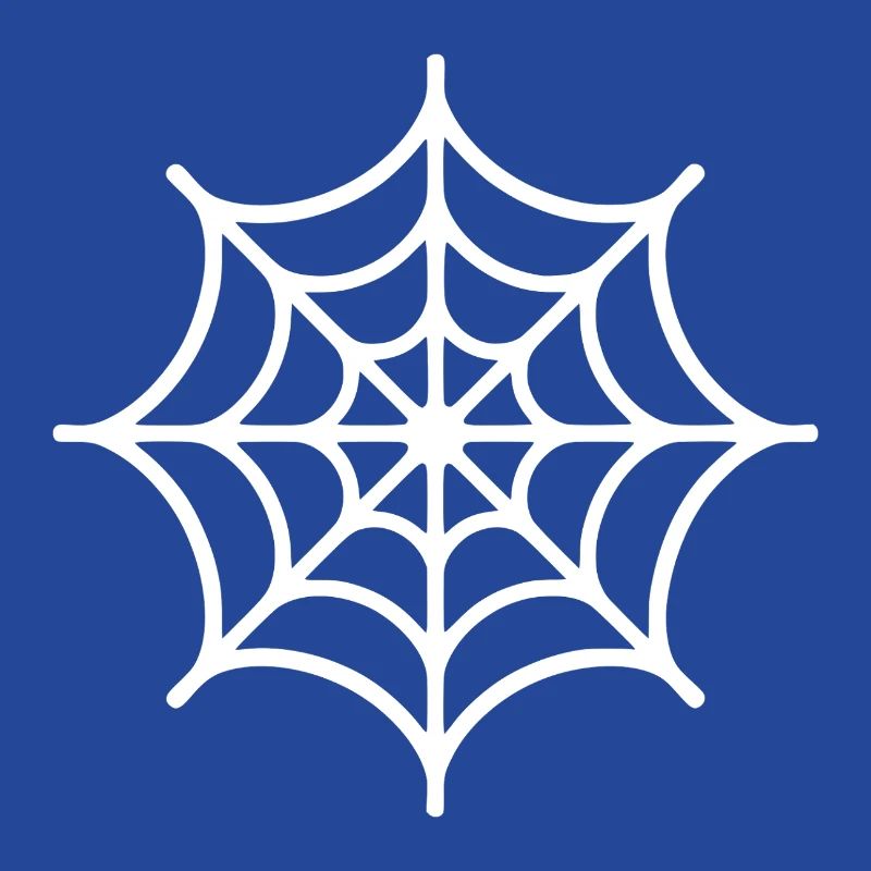 Spider Web Spider