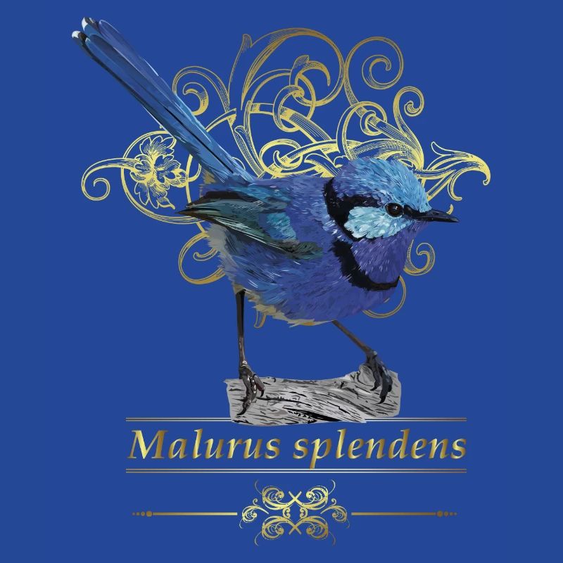 splendid maluro