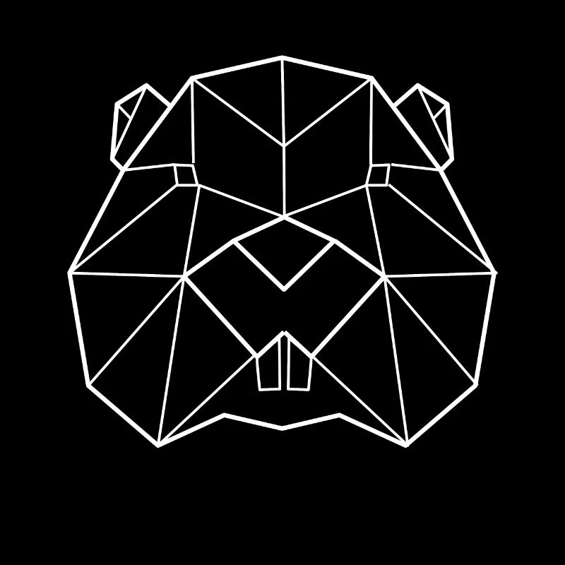 Biber Polygon