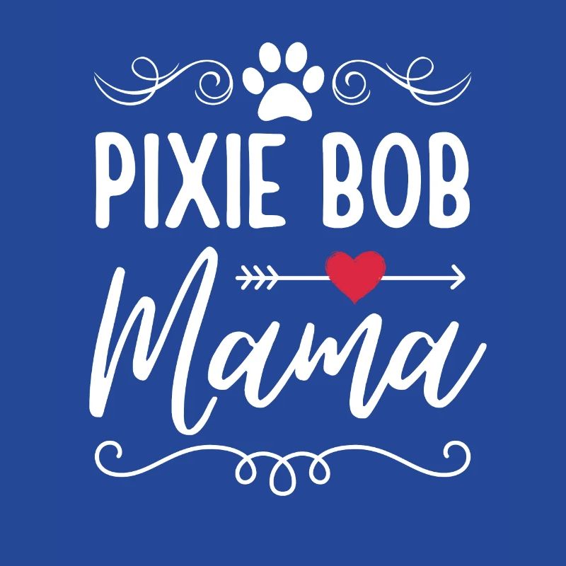 Pixie Bob Chat Maman Pixie Bob Maman