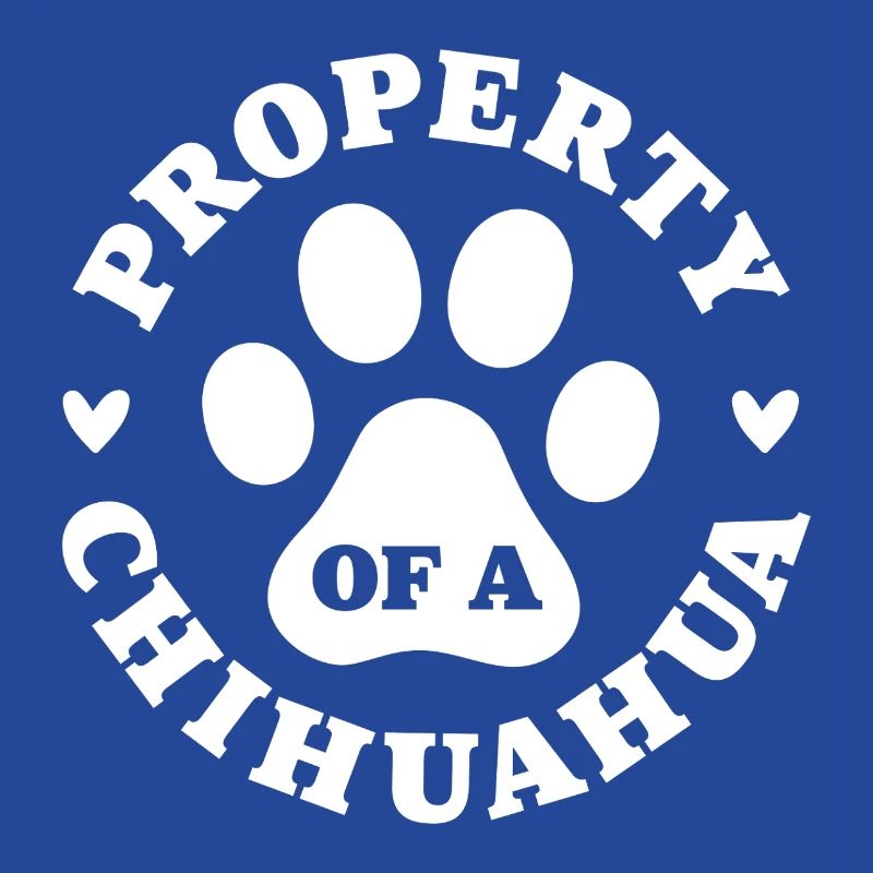 Eigentum eines Chihuahua