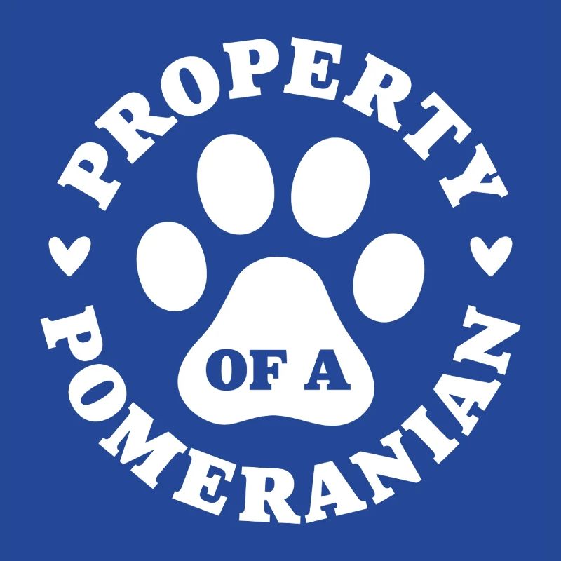 Eigentum eines Zwergspitzs