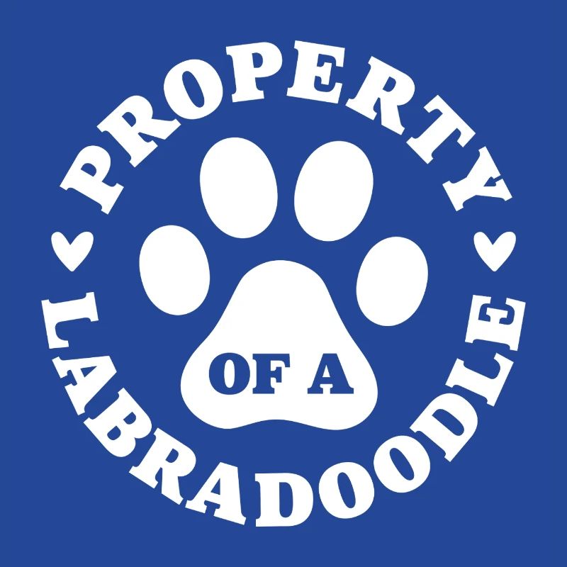Eigentum eines Labradoodles