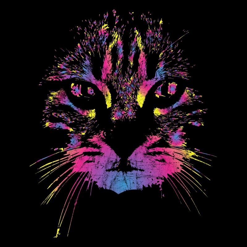 Chat coloré