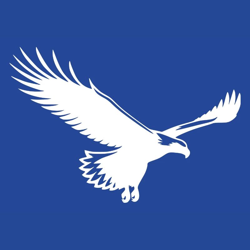 Aigle élégant sur de larges ailes dans le vent