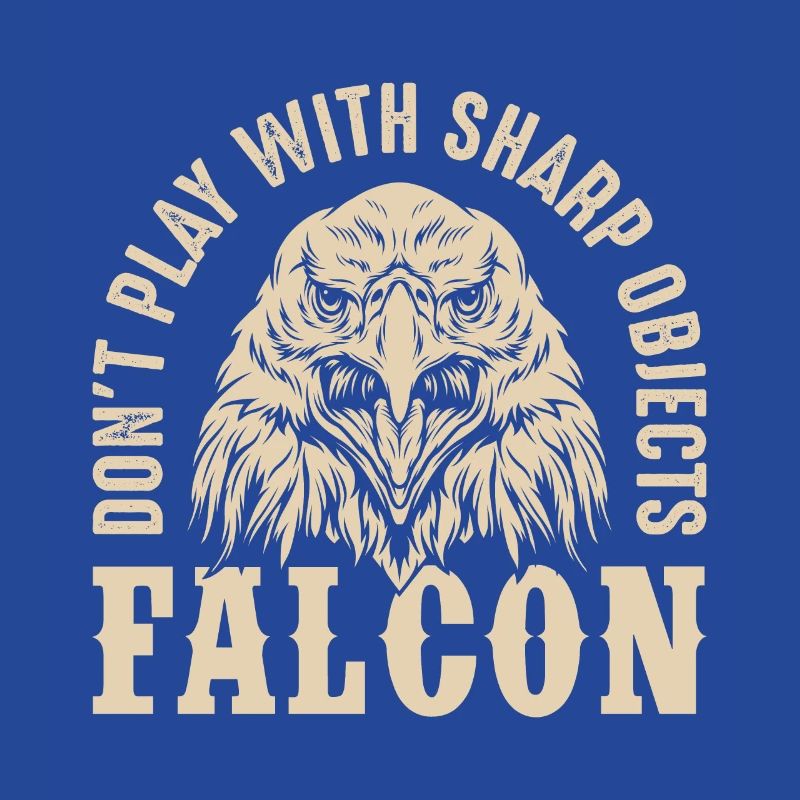 Falcon Sharp objects Falconry Eagle Goshawk Falk