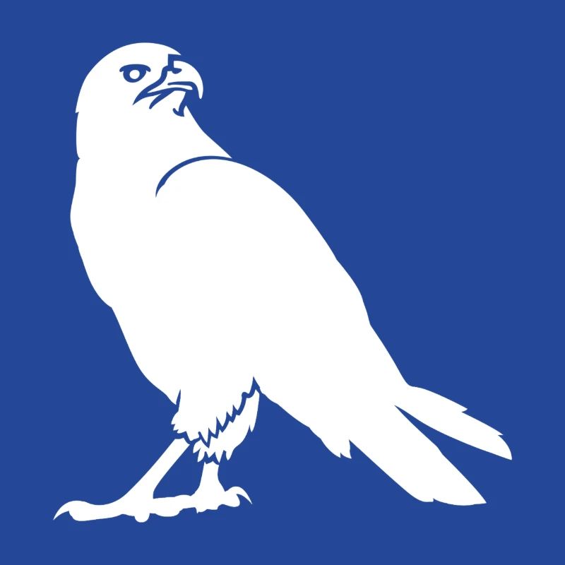 Wildlife, Eagle, Buzzard, Wildlife, Birds, Bird, Zoo