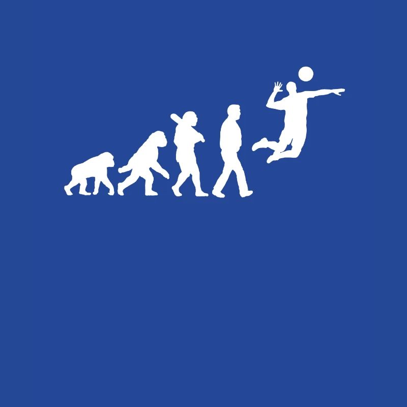 Évolution du volley-ball