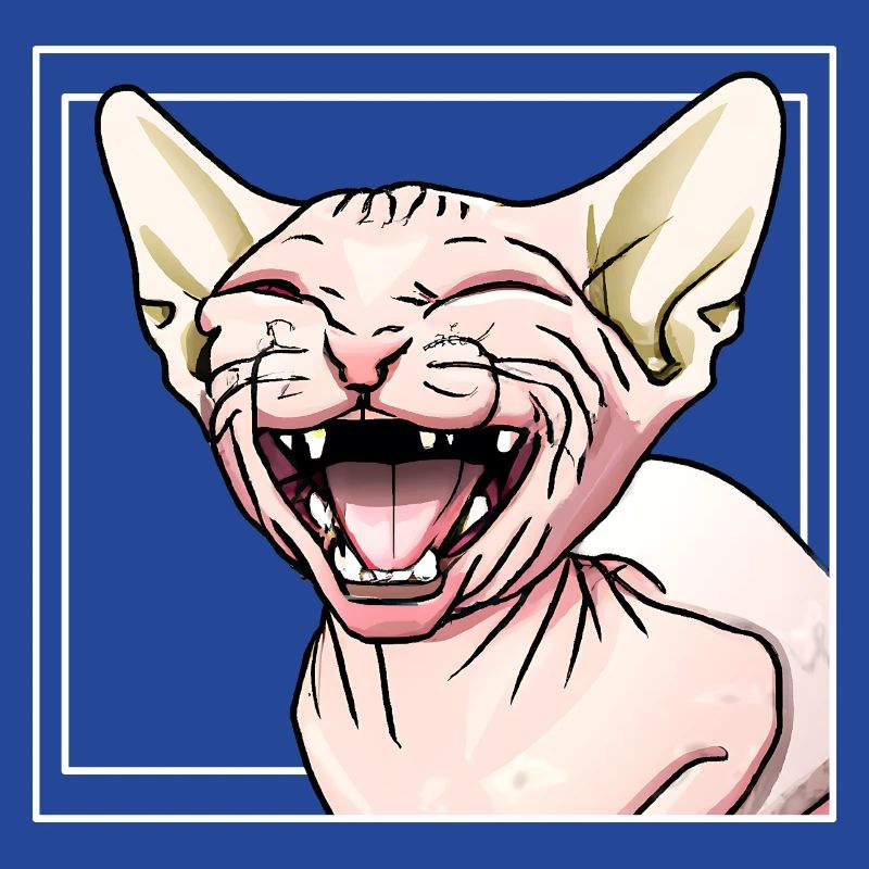 Le chat Sphynx rit