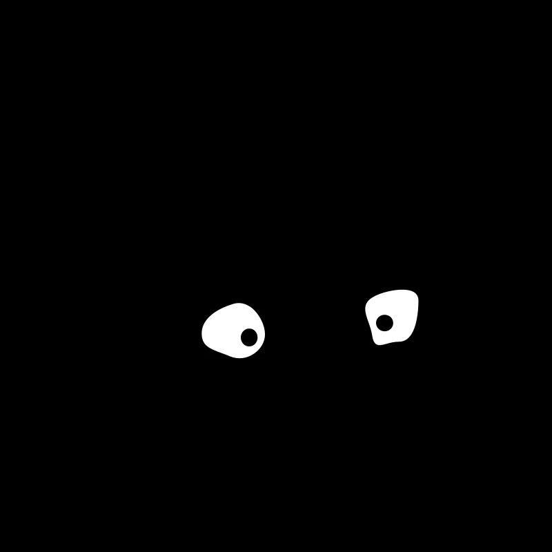 racoon