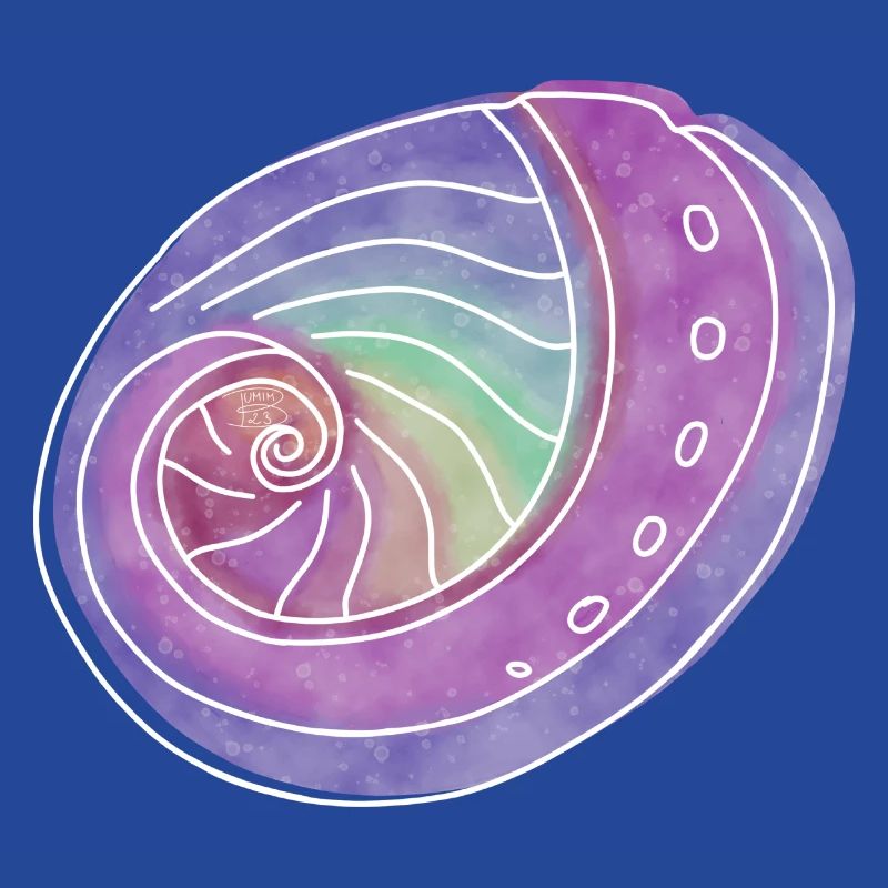 « Abalone », design de ligne boho, série « Shells »