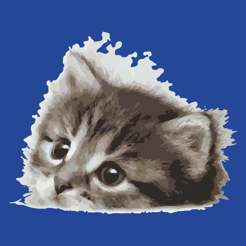 Bébé chat