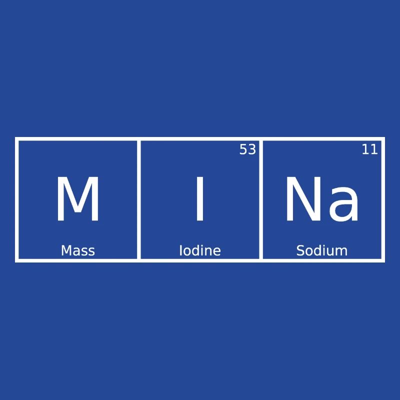 Mina Name First Name Chemistry Periodic Table Elements