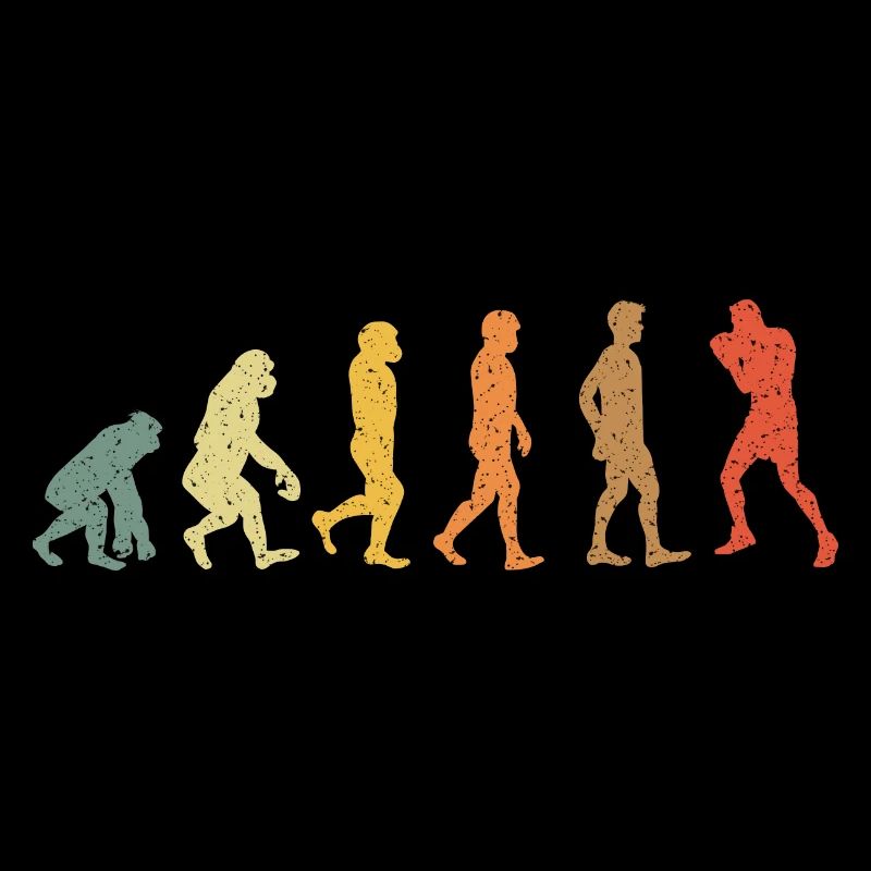 Boîtes Evolution vintage rétro