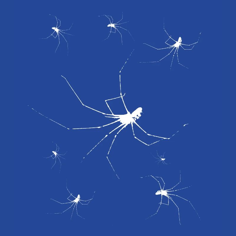 Halloween Spiders