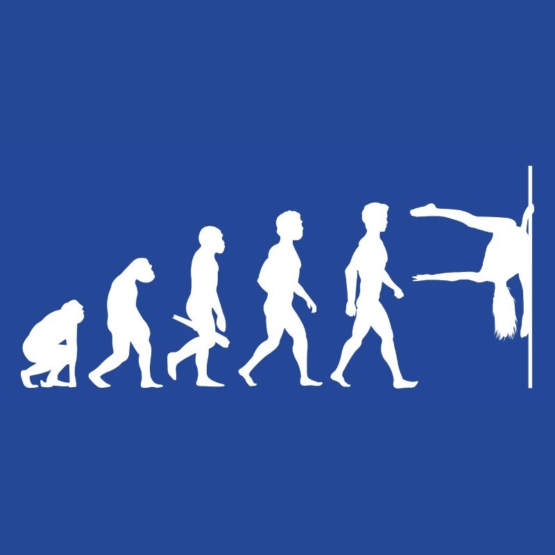 Evolution Poledance Pole Dancing Stange Tanzen