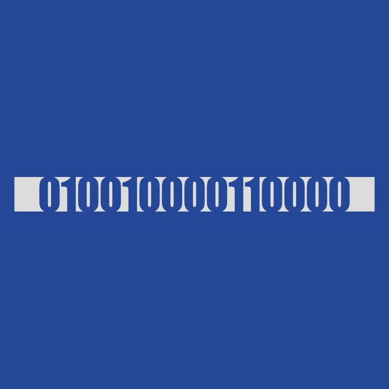Langage de programme de code binaire