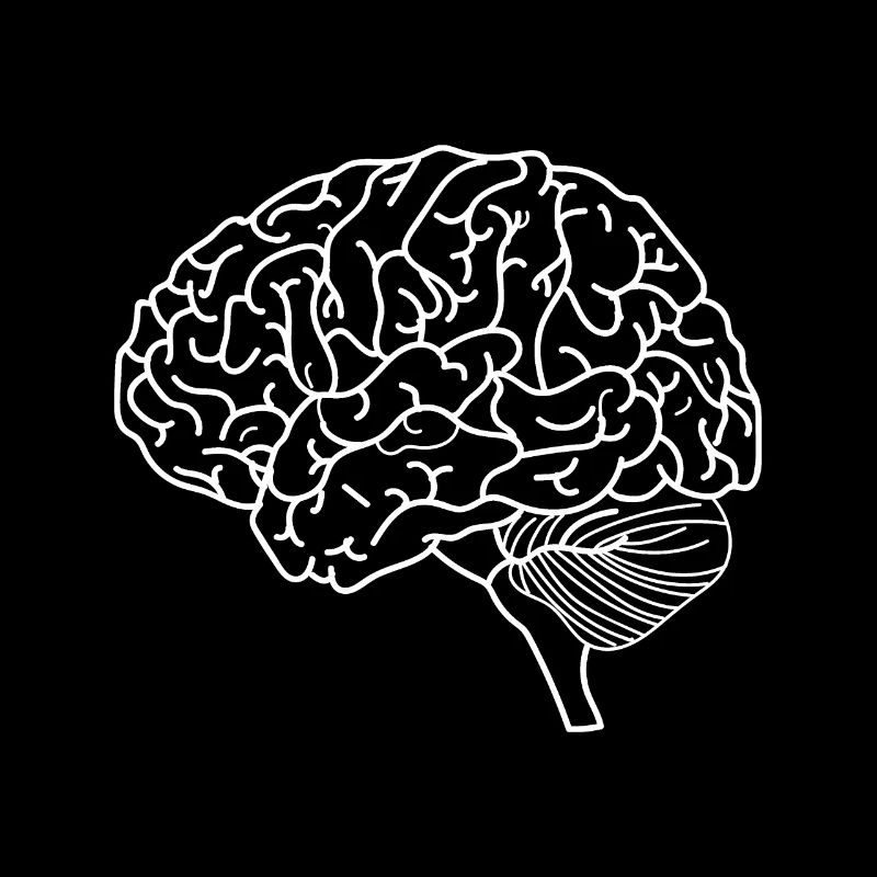 brain