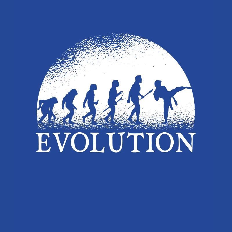 Karate Evolution