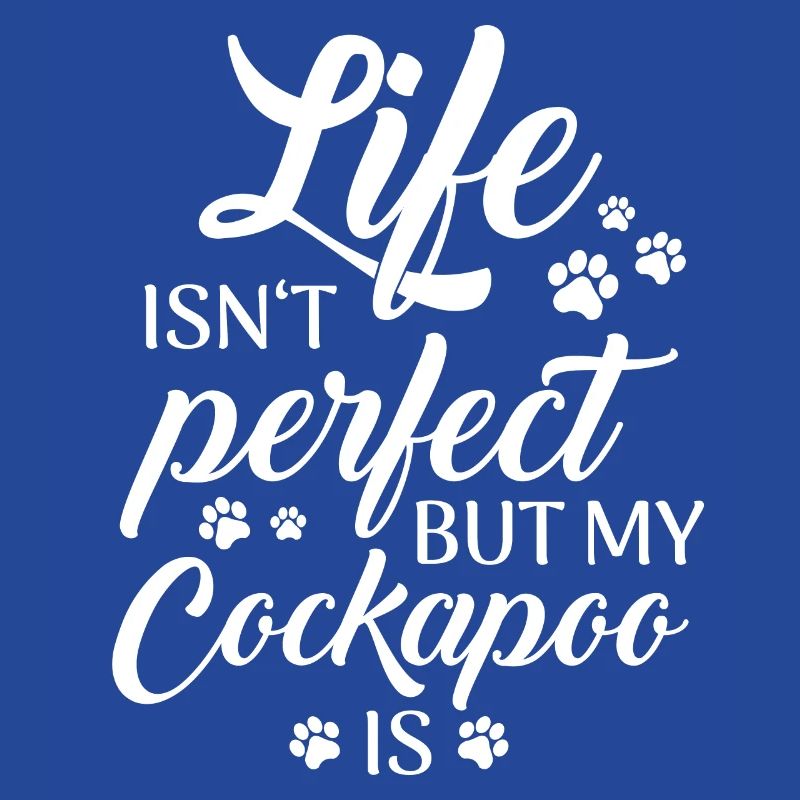 Cockapoo Chien